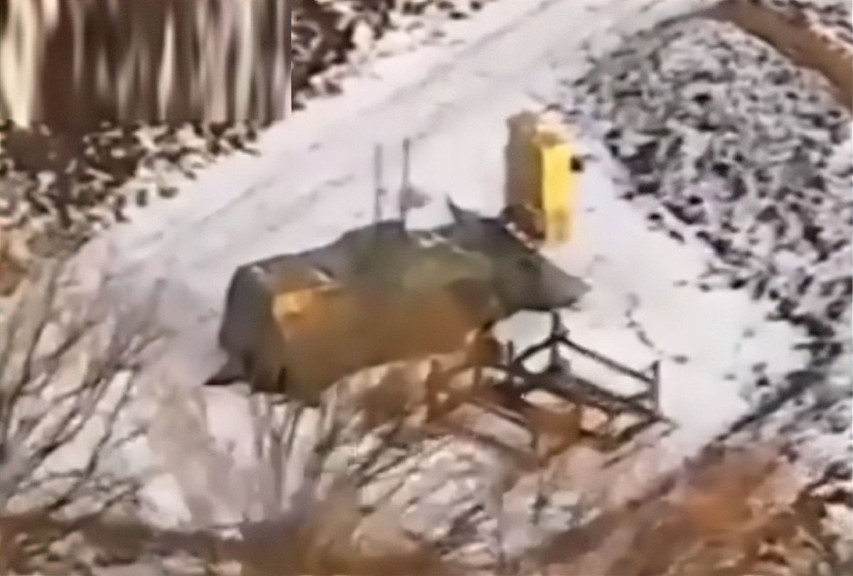 Russian kamikaze drone strikes Ukrainian Iris-T decoy